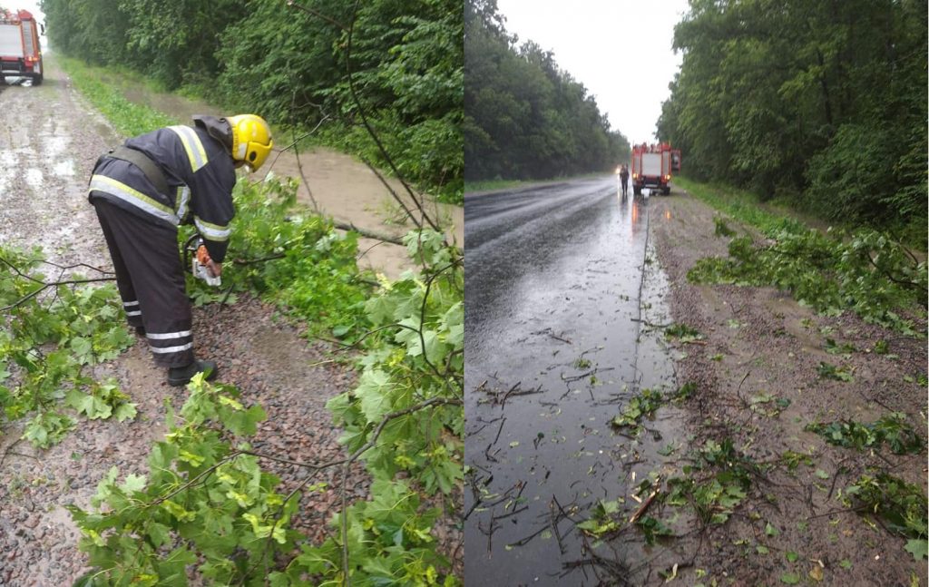 Костопільські рятувальники надавали допомогу по звільненню проїжджої частини дороги від поваленого дерева