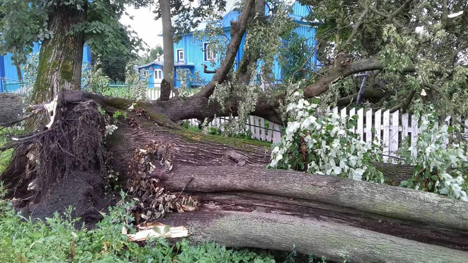 У Корці рятувальники розчищали територію церкви від повалених дерев